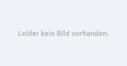 Testbeitrag